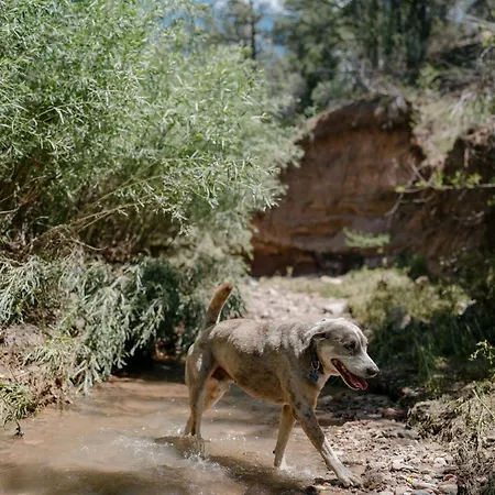 Tesuque Outpost Casita F Views In Holiday home